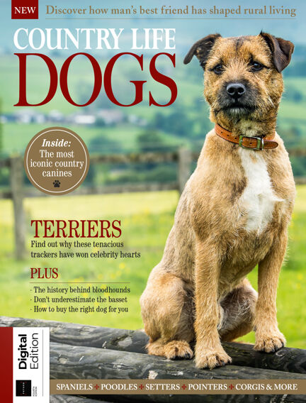 Country Life: Dogs