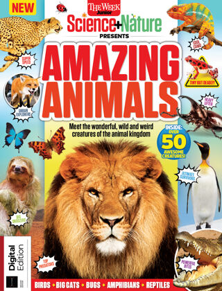 Random Animal Magazine Readly