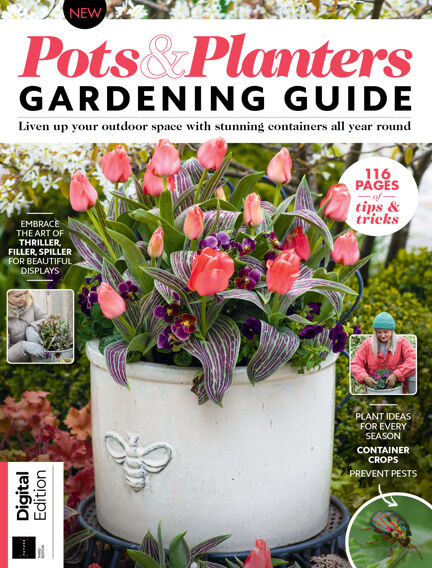 Pots & Planters Gardening Guide