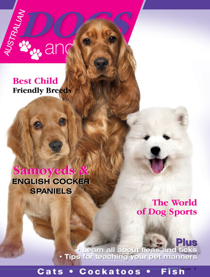Dogs and Pets