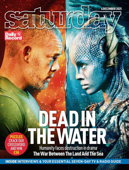 Daily Record Supplement