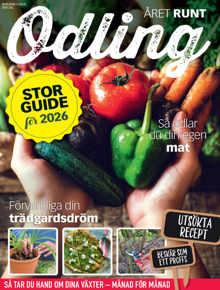 Read Trädgårdsarbete magazine on Readly - the ultimate magazine ...