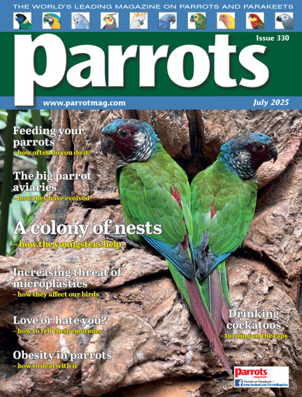 Parrots magazine
