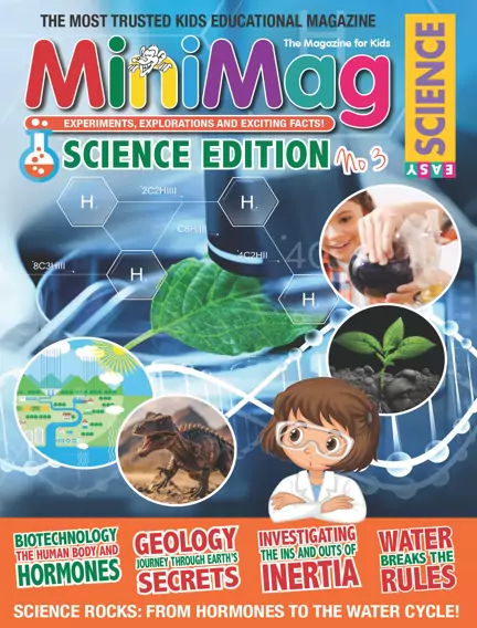 MiniMag: EasyScience Special Edition