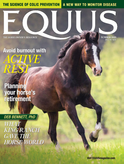 乗馬雑誌 EQUUS エクウス 19冊 DVD付き EQUUS（エクウス）｜定期購読 - 雑誌のFujisan