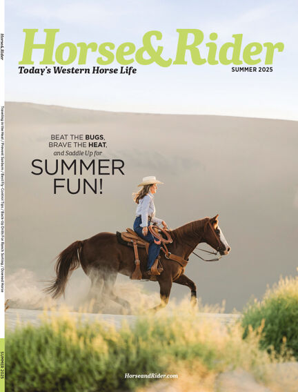Horse & Rider