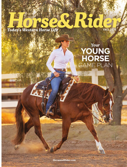Horse & Rider