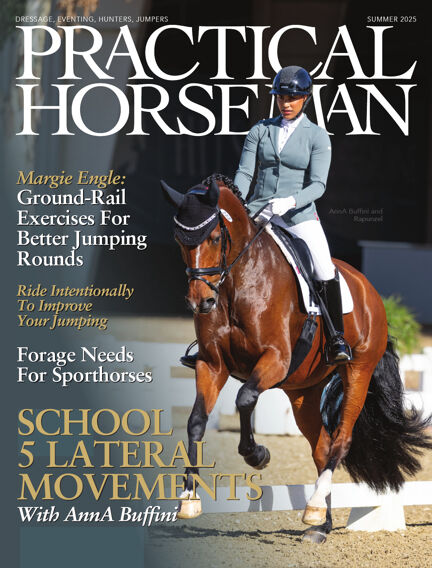 Animals & Equestrian