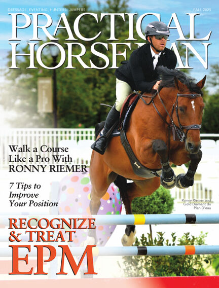 Animals & Equestrian