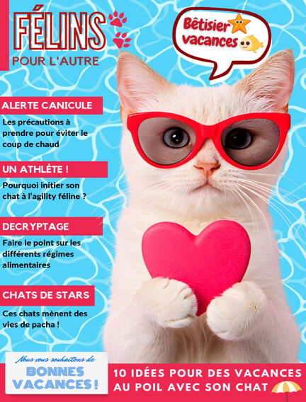 Félins pour l'autre