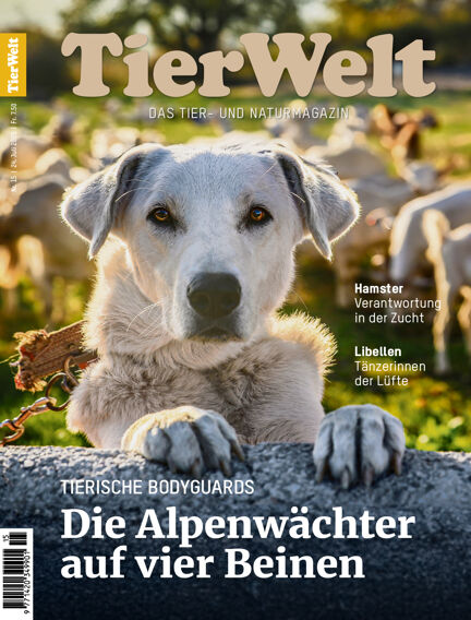TierWelt
