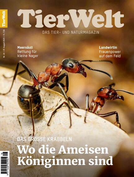 TierWelt