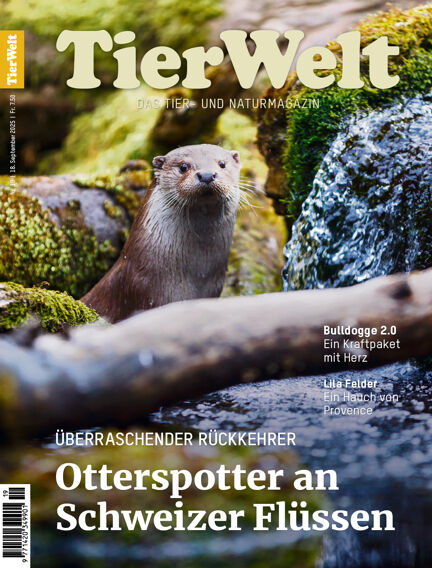 TierWelt