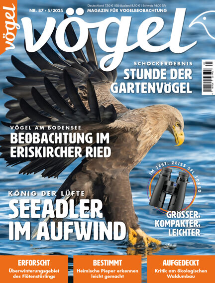 VÖGEL - Magazin für Vogelbeobachtung