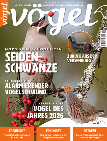 VÖGEL - Magazin für Vogelbeobachtung