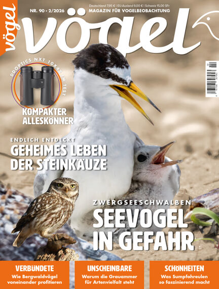 VÖGEL - Magazin für Vogelbeobachtung