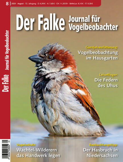 Der Falke -  Journal für Vogelbeobachter