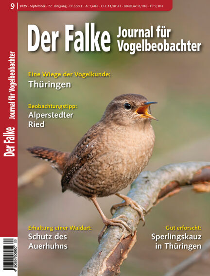 Der Falke -  Journal für Vogelbeobachter
