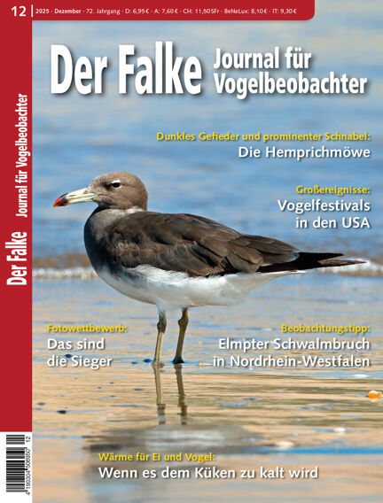 Der Falke -  Journal für Vogelbeobachter