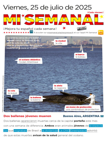 Mi Semanal
