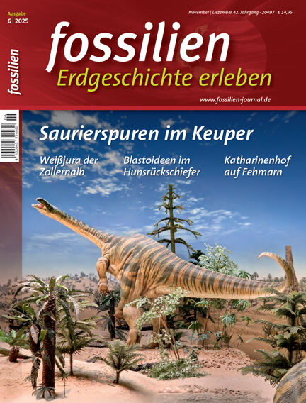 FOSSILIEN - Erdgeschichte erleben