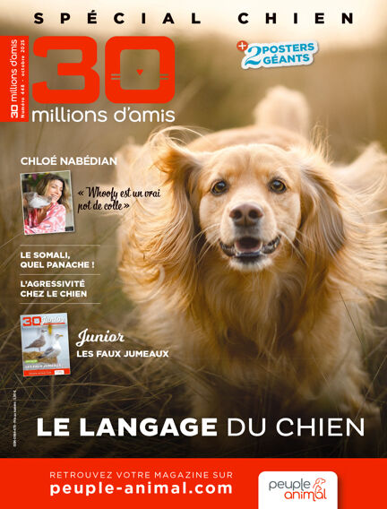 Animaux