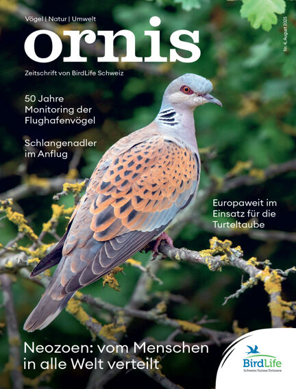 ornis
