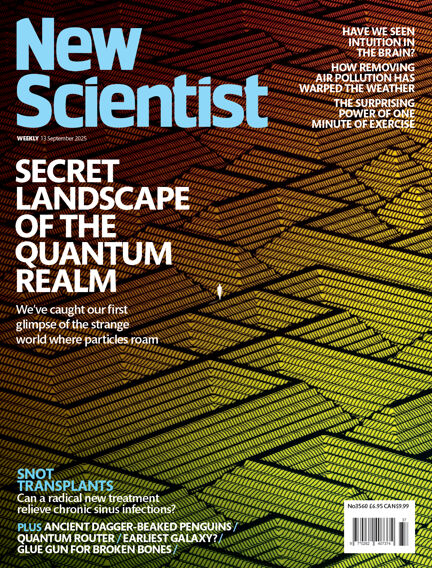 New Scientist