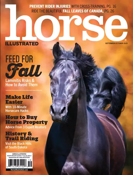 Horse Illustrated