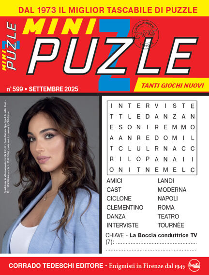 Mini Puzzle