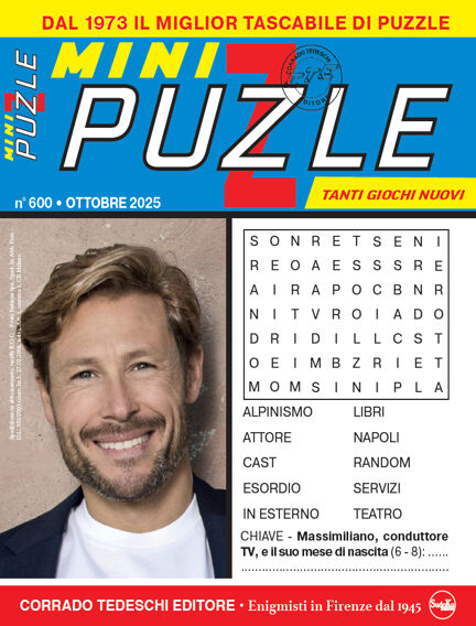 Mini Puzzle