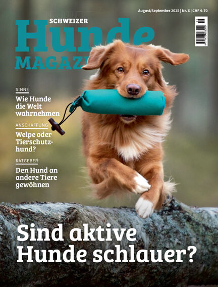 Reitsport & Tiere