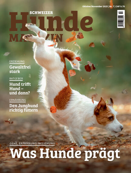 Reitsport & Tiere