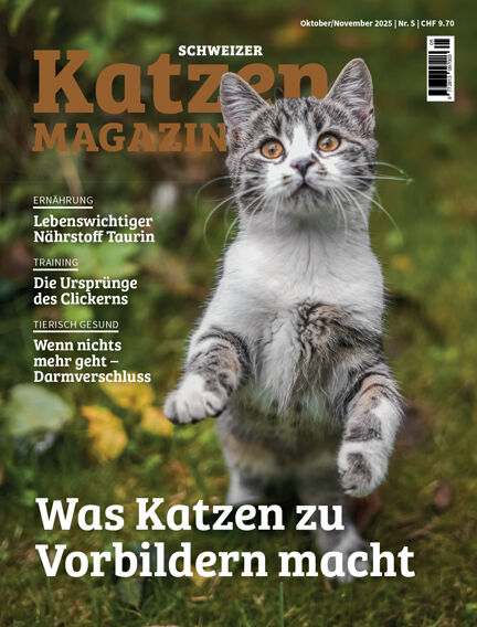 Reitsport & Tiere