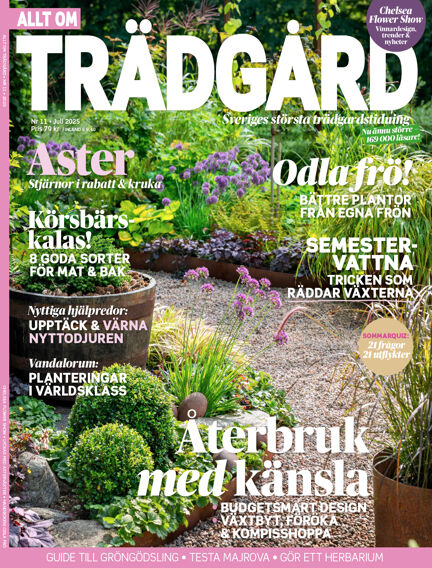 Allt om Trädgård