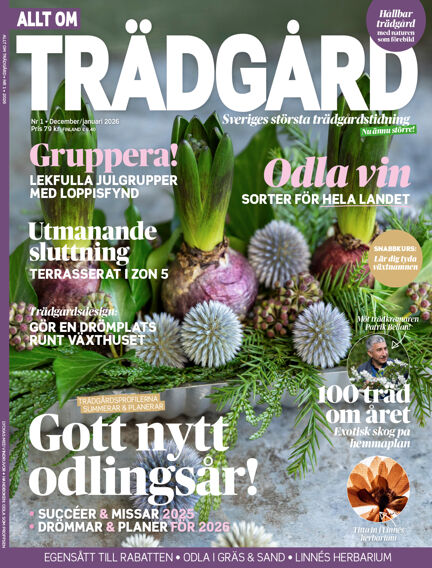Allt om Trädgård