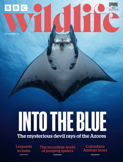 BBC Wildlife Magazine