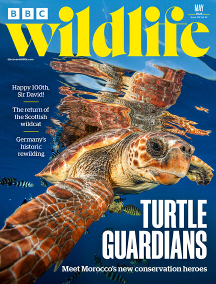 BBC Wildlife Magazine