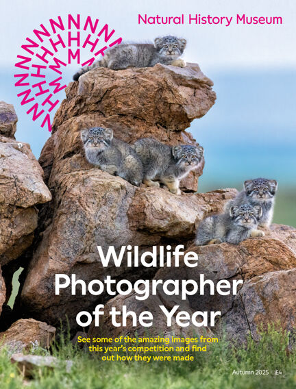 Natural History Museum