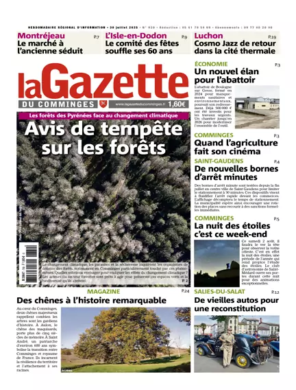 La Gazette du Comminges
