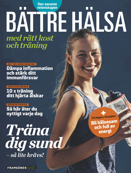 Framgångsguide