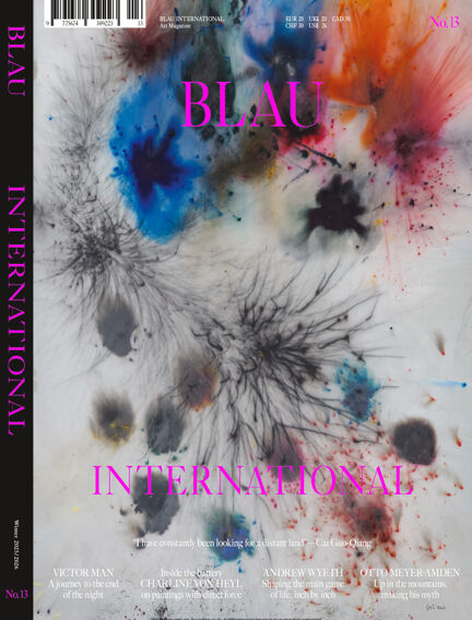 BLAU INTERNATIONAL
