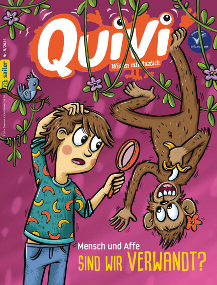 Quivi